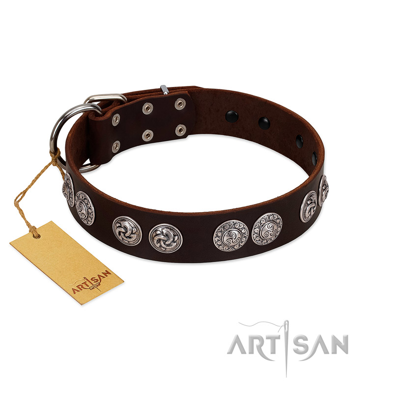 "High and Mighty" FDT Artisan Classy Brown Leather Bulldog Collar with Embellished Brooches