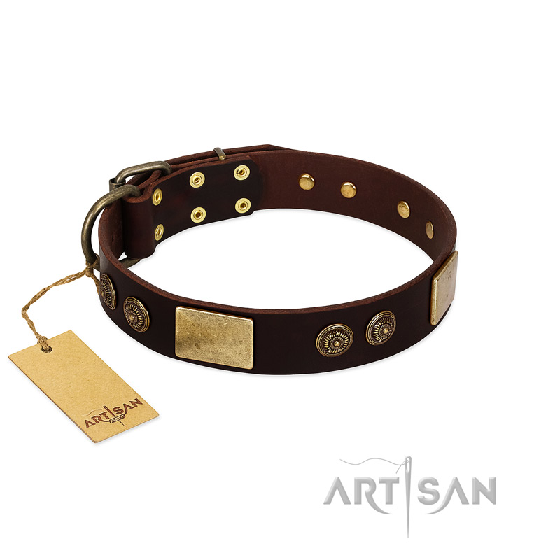 "Bow-Wow Effect" FDT Artisan Brown Leather Bulldog Collar with Plates and Ornate Studs
