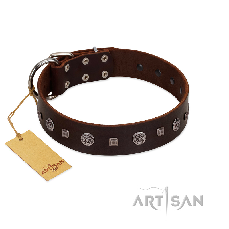 "Pure Sensation" Exclusive FDT Artisan Brown Leather Bulldog Collar with Fancy Brooches and Studs