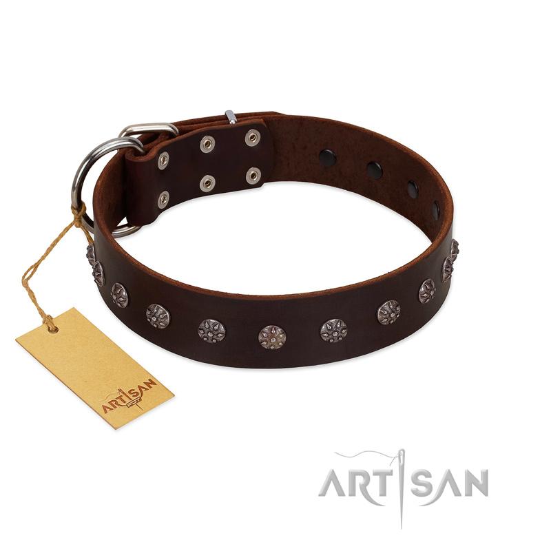 "Graceful Classic" Mod FDT Artisan Brown Leather Bulldog Collar