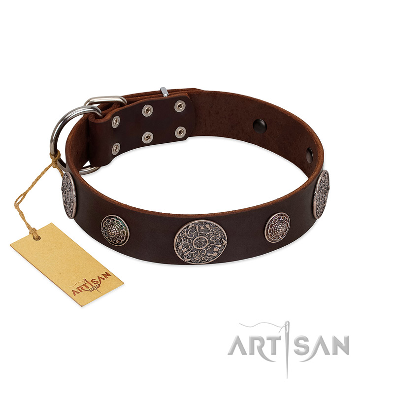 "Flashy Woof" FDT Artisan Brown Leather Bulldog Collar with Chrome Plated Brooches