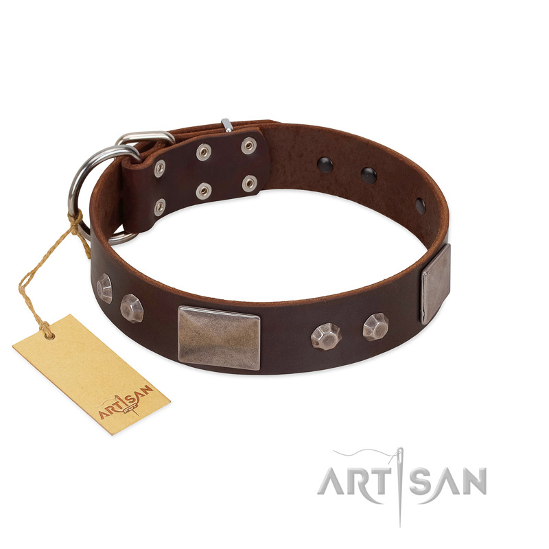 "Stone Stars" Stylish Handmade FDT Artisan Brown Leather Bulldog Collar - Click Image to Close