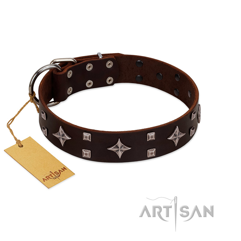 "Trendy Candy" FDT Artisan Brown Leather Bulldog Collar Adorned with Stars and Tiny Squares