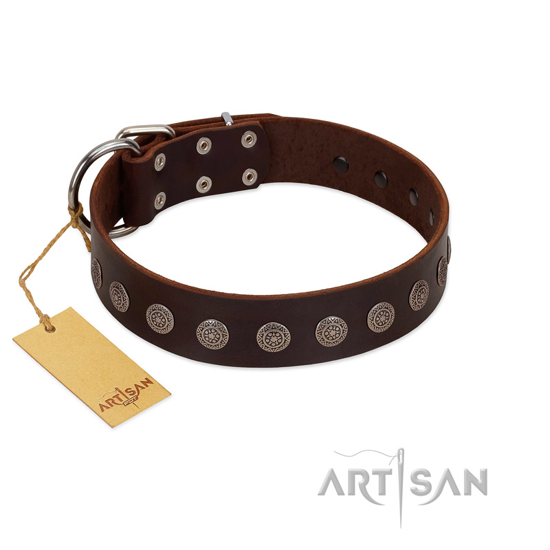 "Starry-Eyed" Best Quality FDT Artisan Brown Designer Leather Bulldog Collar with Small Plates