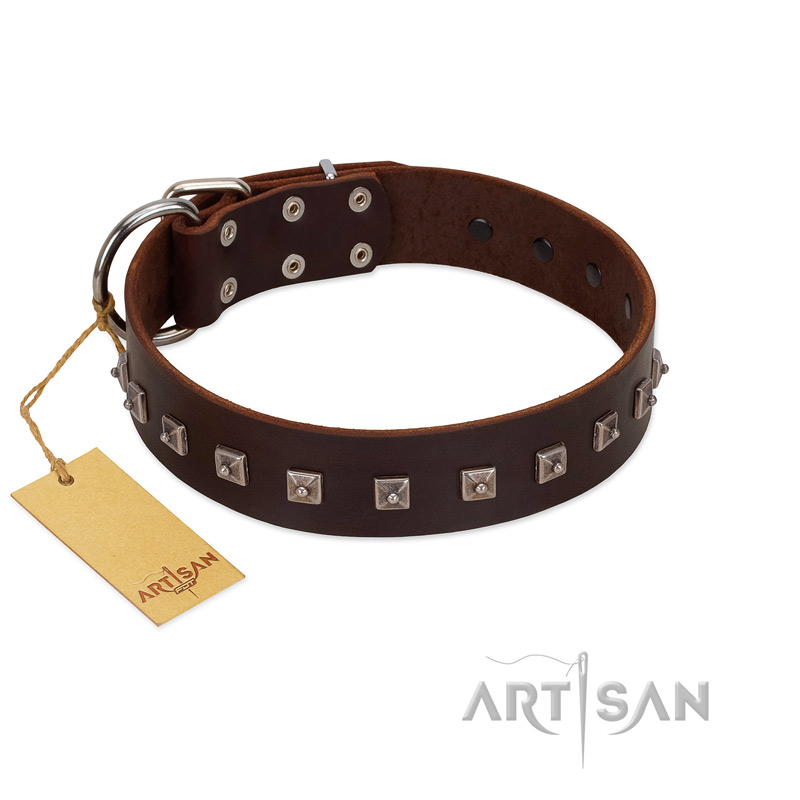 "Kingly Grace" FDT Artisan Brown Leather Bulldog Collar with Silver-like Dotted Studs