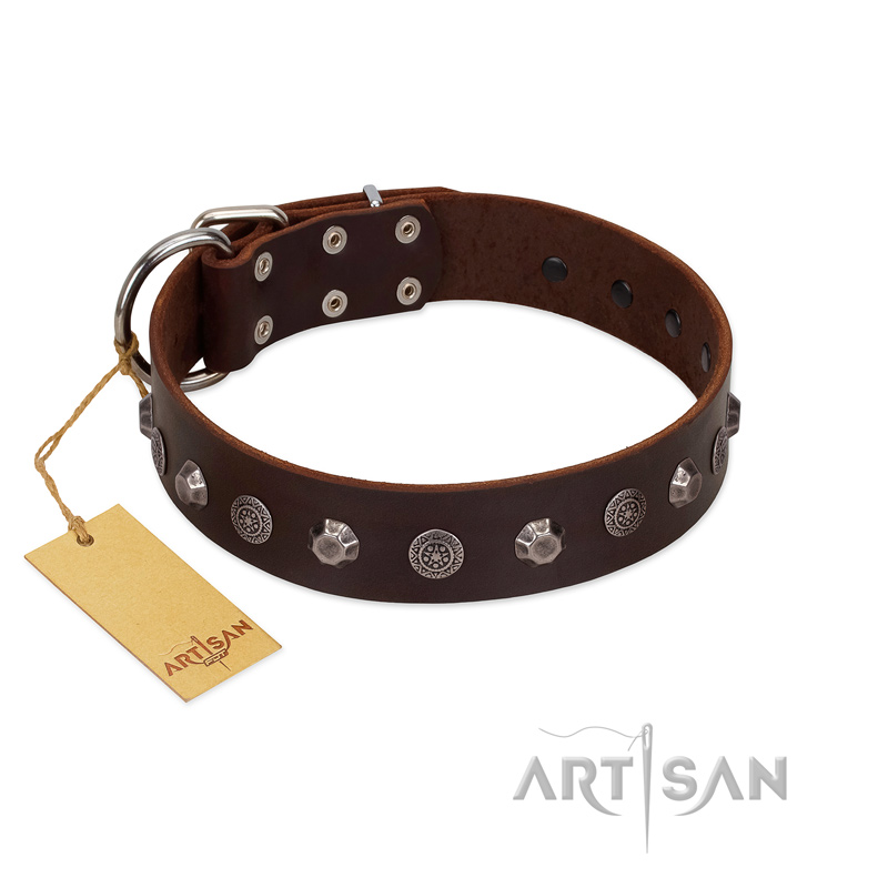 "Dark Chocolate" Handmade FDT Artisan Brown Leather Bulldog Collar with Studs