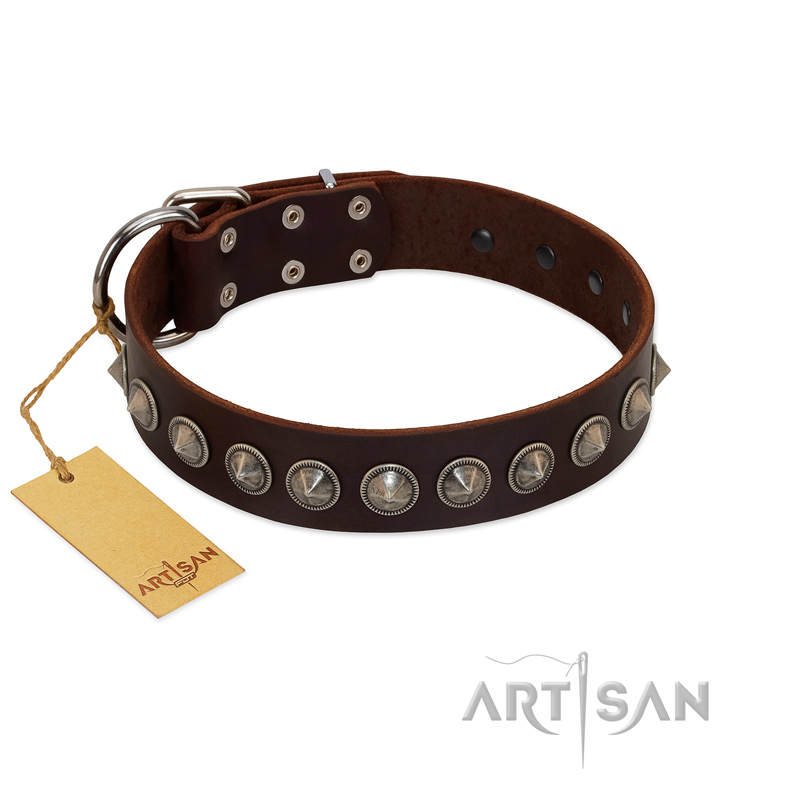 "Gothic Style" FDT Artisan Fancy Brown Leather Bulldog Collar with Silver-Like Decorations