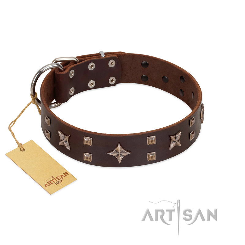 "Stars in Sands" Modern FDT Artisan Brown Leather Bulldog Collar with Studs and Stars