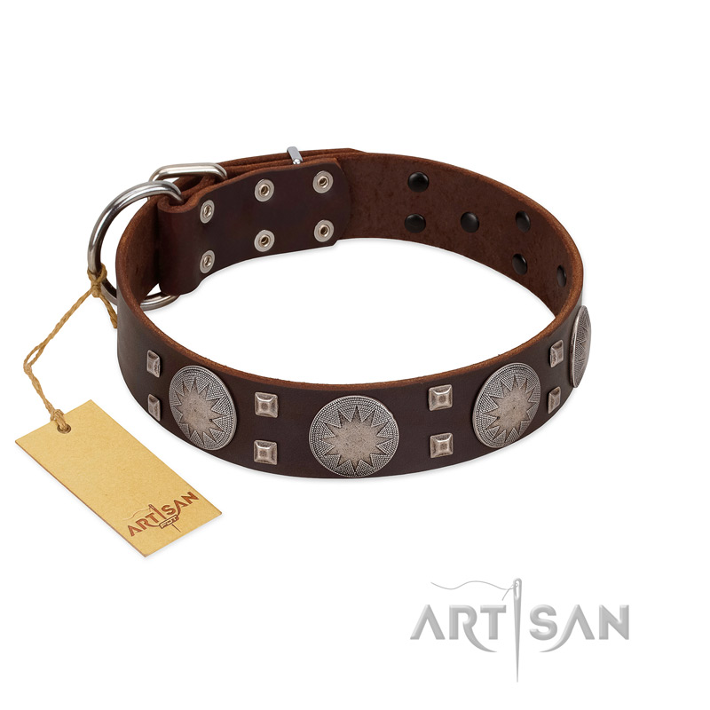 "Sun in Barchans" Modern FDT Artisan Brown Leather Bulldog Collar with Engraved Stars on Round Plates and Studs