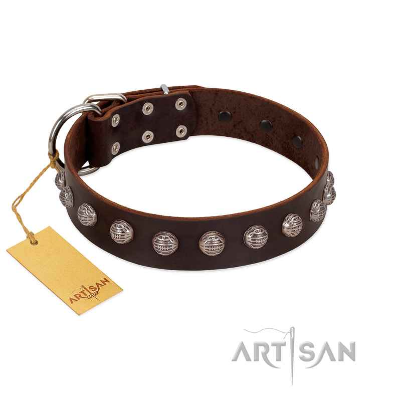 "Lucky Silver" Designer Handmade FDT Artisan Brown Leather Bulldog Collar