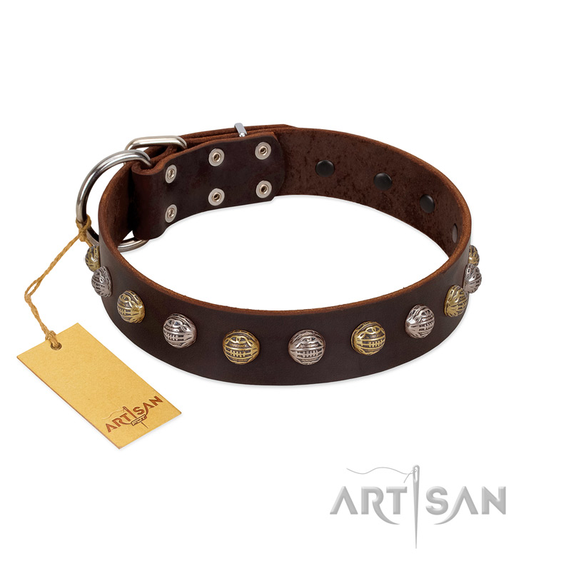 "Gape Buster" FDT Artisan Brown Leather Bulldog Collar with One Row of Studs