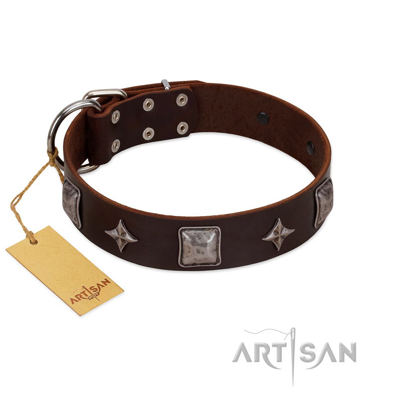 "Cold Star" Designer FDT Artisan Brown Leather Bulldog Collar with Silver-Like Adornments