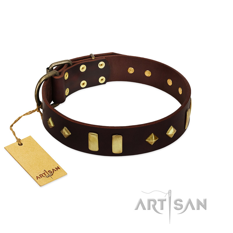 "Blinking Illusion" FDT Artisan Brown Leather Bulldog Collar with Old Bronze-like Studs and Plates