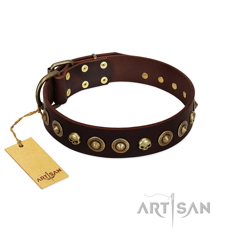 "Street Fashion" FDT Artisan Brown Leather Bulldog Collar Adorned with Circles and Skulls