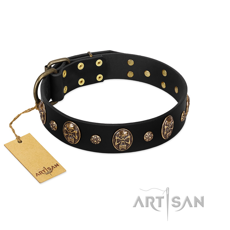 Pirate's Spell' FDT Artisan Black Leather Bulldog Collar with Engraved Studs and Medallions