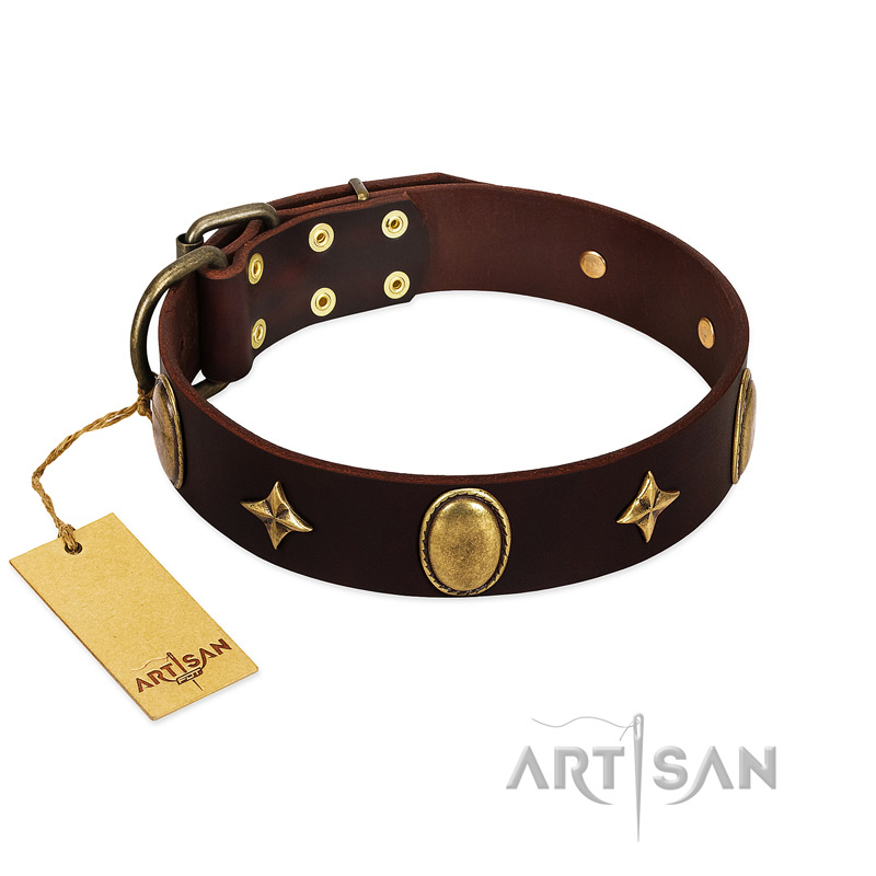 "Victory and Laurels" FDT Artisan Brown Leather Bulldog Collar with Ovals and Stars