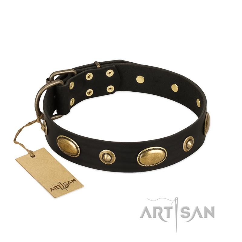 "Eye-Catcher" FDT Artisan Black Leather Bulldog Collar for Walking in Style