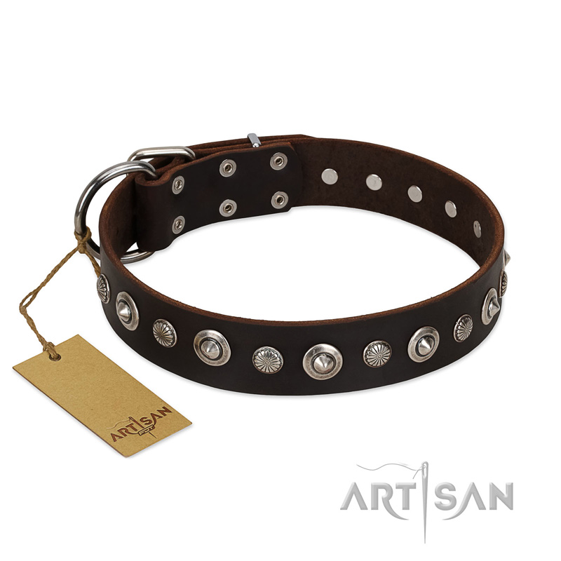 "Gorgeous Shields" FDT Artisan Brown Leather Bulldog Collar with Old Silver-like Circles and Small Camomiles