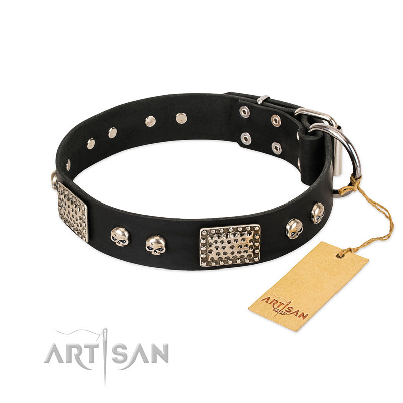 "Pirates Gold" FDT Artisan Black Leather Bulldog Collar with Old Silver Look Plates and Skulls