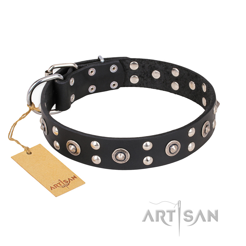 "Refined Essence" FDT Artisan Black Leather Bulldog Collar with Silvery Studs