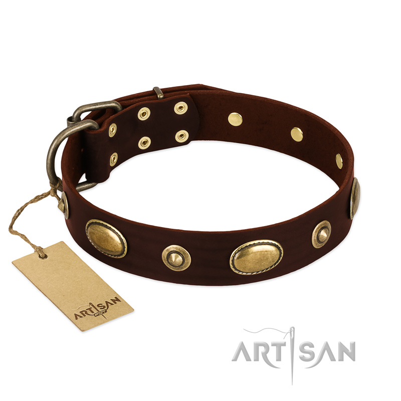 "Hebe's Jewel" FDT Artisan Brown Genuine Leather Bulldog Collar