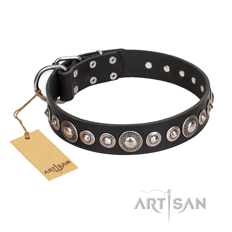 "Strict Elegance" FDT Artisan Black Leather Bulldog Collar with Decorations - Click Image to Close