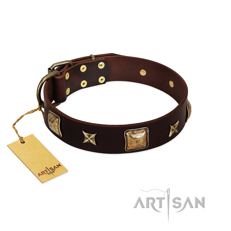 "Choco Dreams" FDT Artisan Brown Leather Bulldog Collar with Squares and Stars