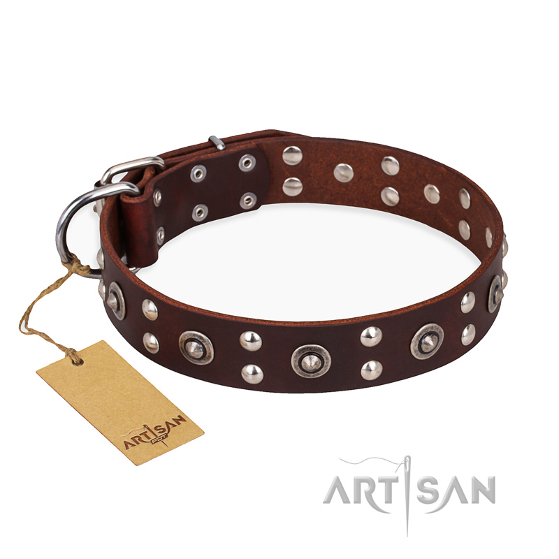 "Pirate Treasure" FDT Artisan Exciting Brown Leather Bulldog Collar with Studs