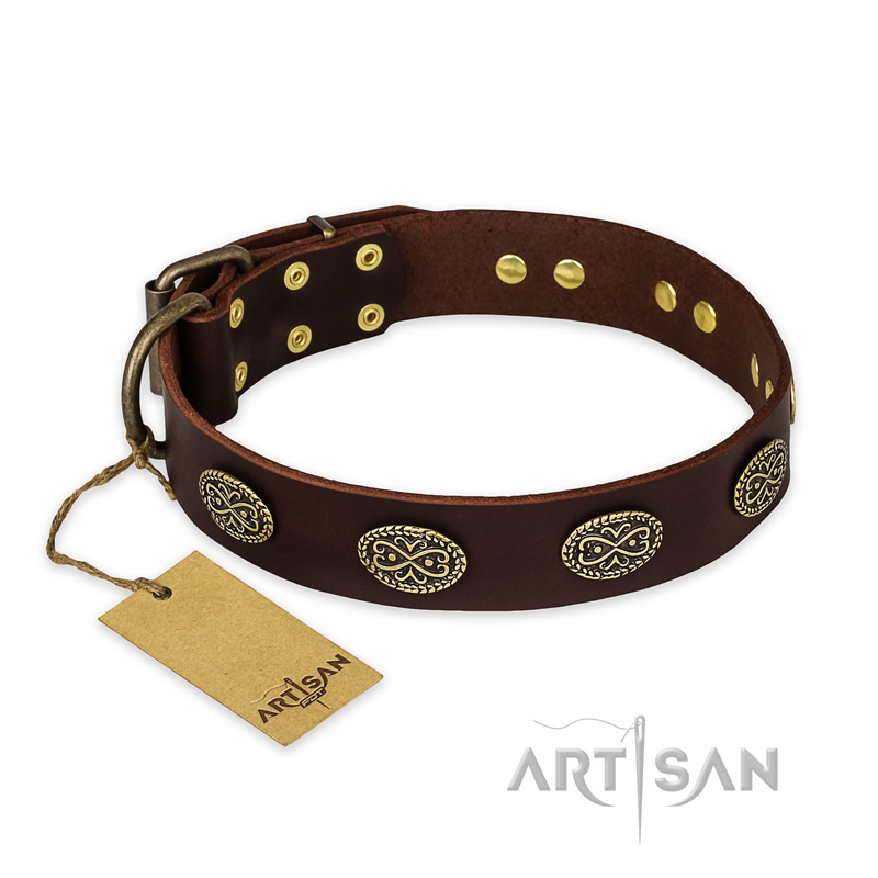 "Chocolate kiss" FDT Artisan Leather Bulldog Collar with Old Bronze Look Oval Plates