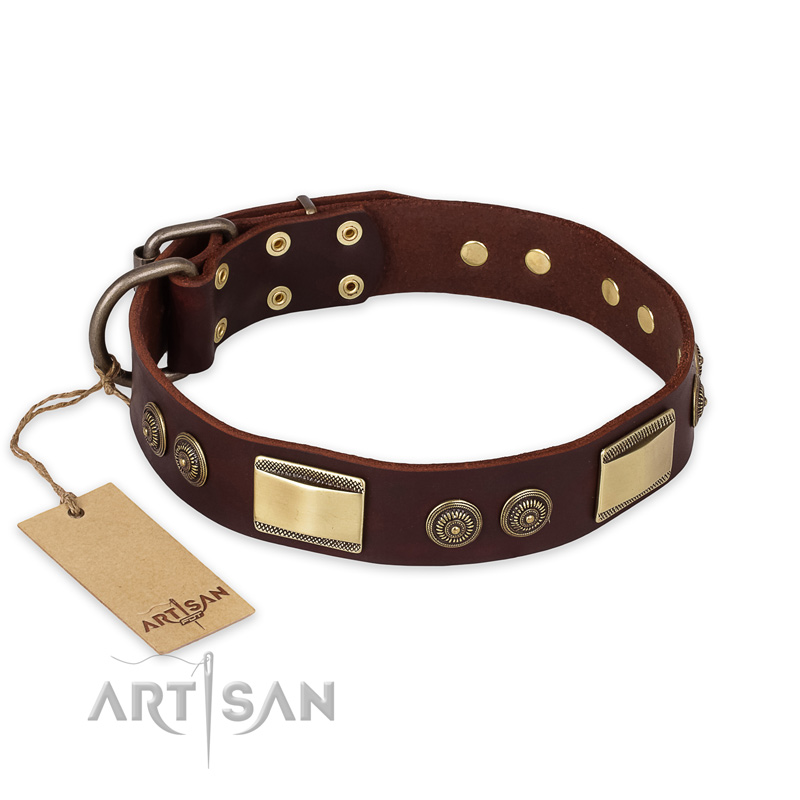 "Golden Stones" FDT Artisan Brown Leather Bulldog Collar with Old Bronze Look Plates and Circles