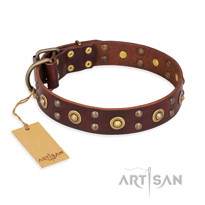 "Caprice of Fashion" FDT Artisan Brown Leather Bulldog Collar with Round Decorations
