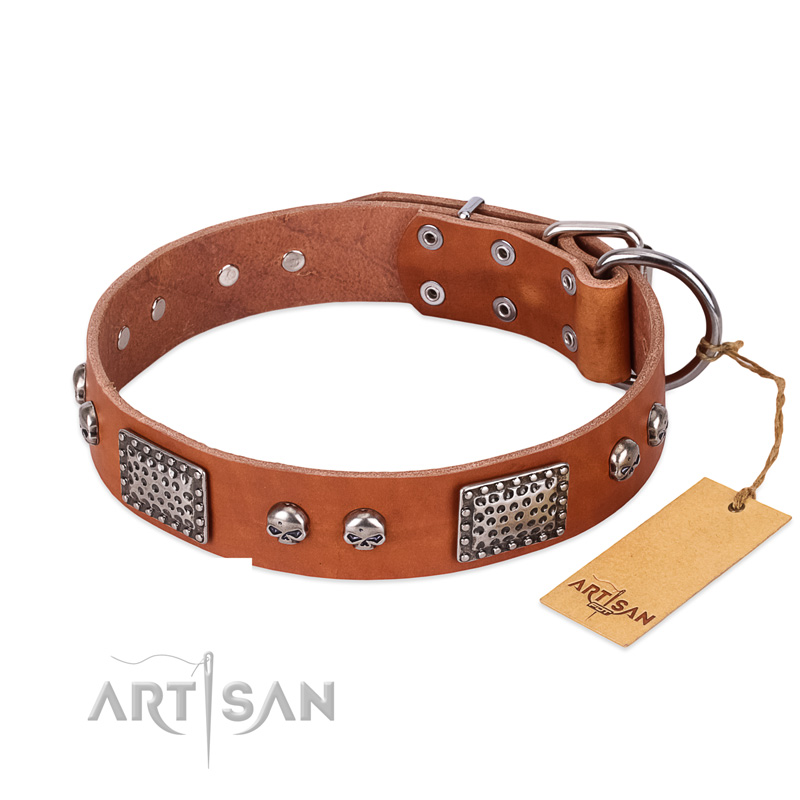 "Sparkling Skull" FDT Artisan Tan Leather Bulldog Collar with Old Silver Look Plates and Skulls