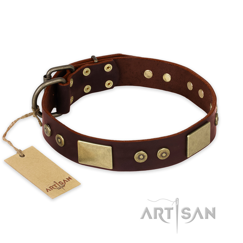 "Shining Armour" FDT Artisan Brown Leather Bulldog Collar with Decorations
