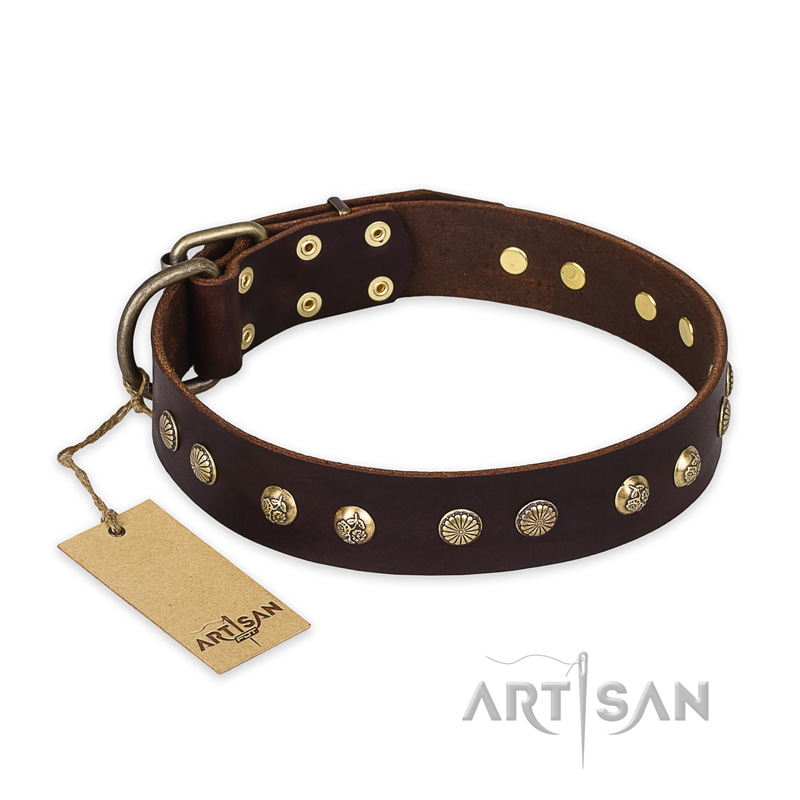 "Bronze Sheen" FDT Artisan Leather Bulldog Collar with Brass-Plated Studs