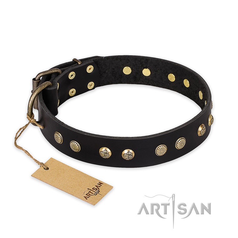 "Black Elegance" FDT Artisan Leather Bulldog Collar with Round Studs