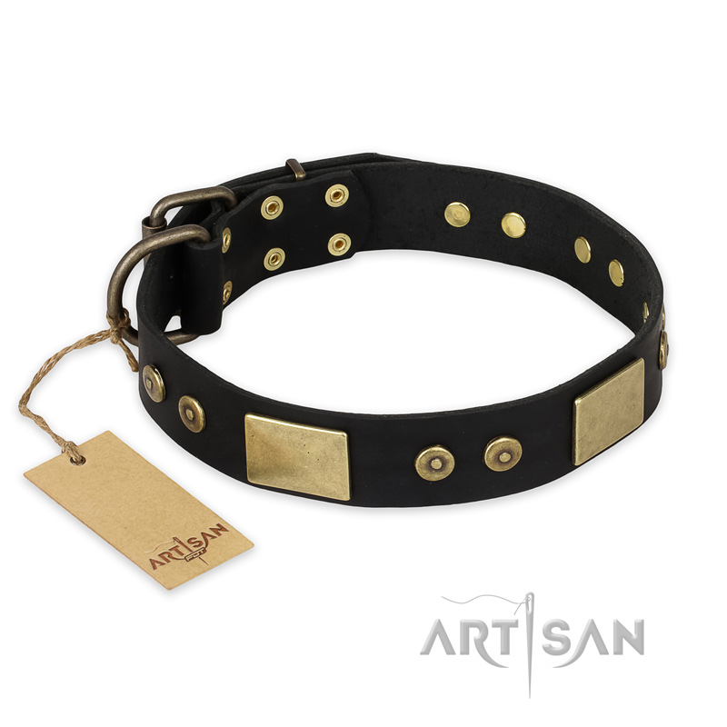 "Spanish night" FDT Artisan Fashionable Leather Walking Bulldog Collar
