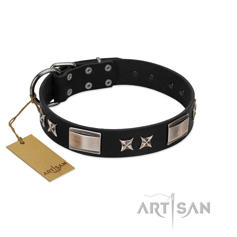 "Pitch Dark" FDT Artisan Black Leather Bulldog Collar with Stars and Plates