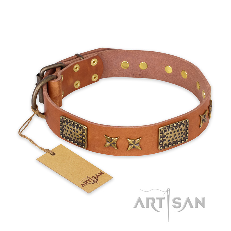 "Cosmic Traveller" FDT Artisan Adorned Leather Bulldog Collar with Old Bronze-Plated Stars and Plates