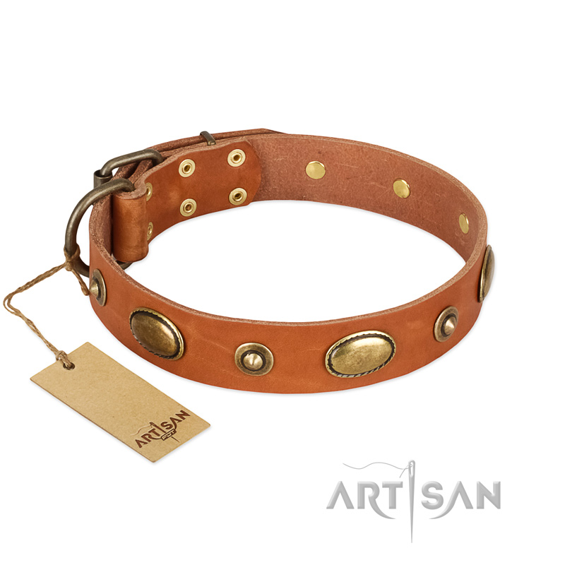 "Visual Magic" FDT Artisan Tan Leather Bulldog Collar for Daily Activities