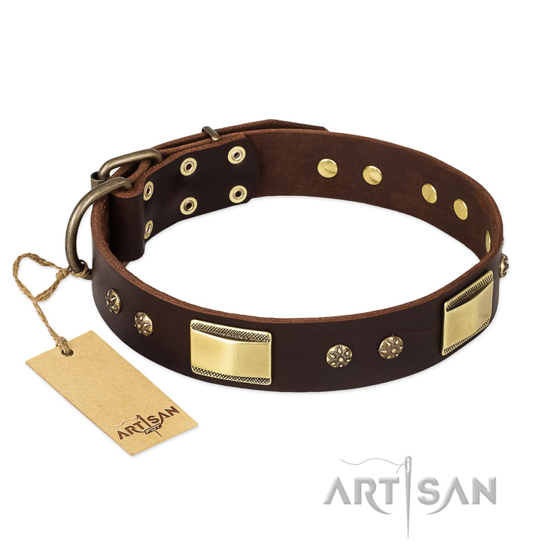 "Rich Fashion" FDT Artisan Decorated Leather Bulldog Collar with Plates and Studs