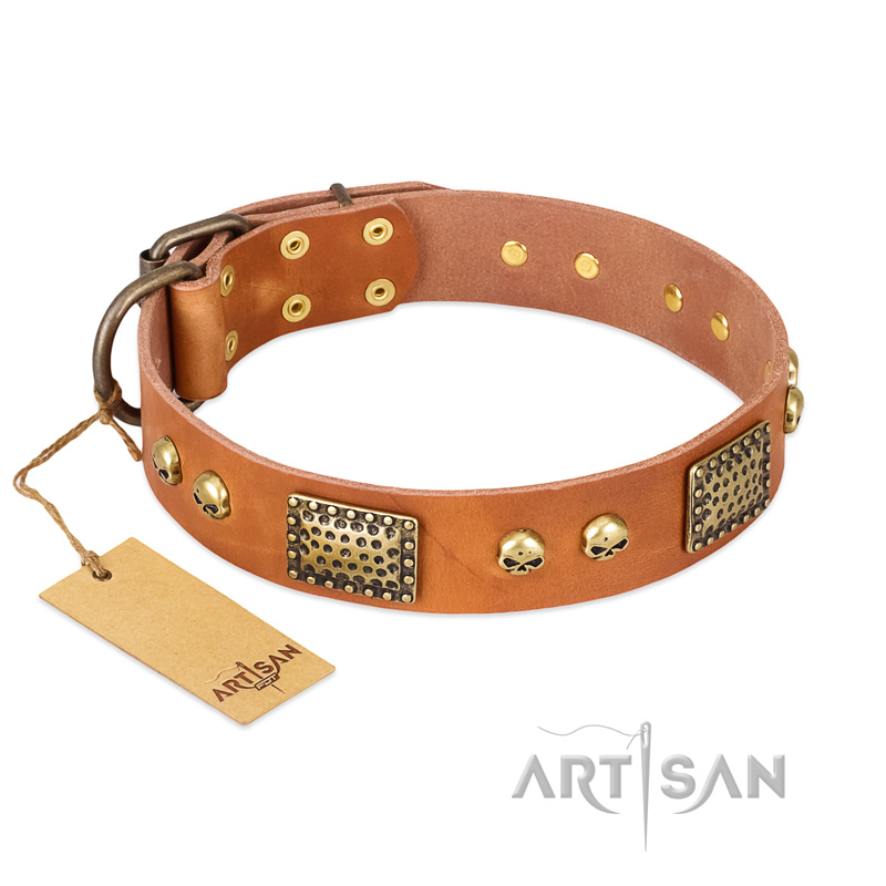 "Saucy Nature" FDT Artisan Tan Leather Bulldog Collar with Old Bronze Look Plates and Skulls