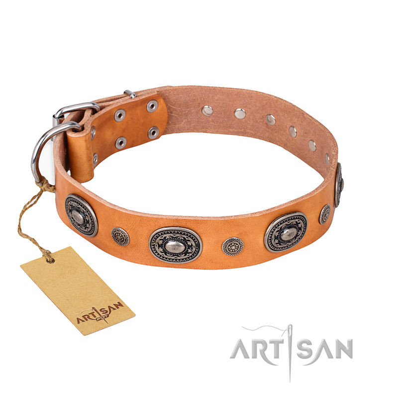 "Twinkle Twinkle" FDT Artisan Incredible Studded Tan Leather Bulldog Collar