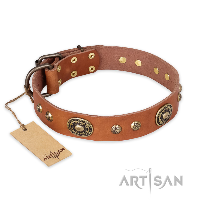 "Stunning Dress" FDT Artisan Tan Leather Bulldog Collar with Old Bronze Look Plates and Studs
