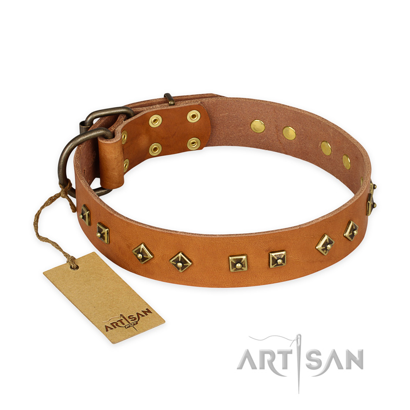 "Autumn Story" FDT Artisan Leather Bulldog Collar with Old Bronze Look Studs