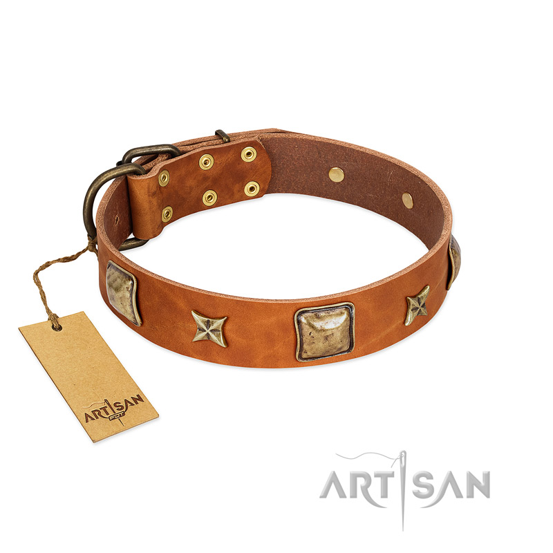 "Celtic Tunes" FDT Artisan Tan Leather Bulldog Collar Adorned with Stars and Squares