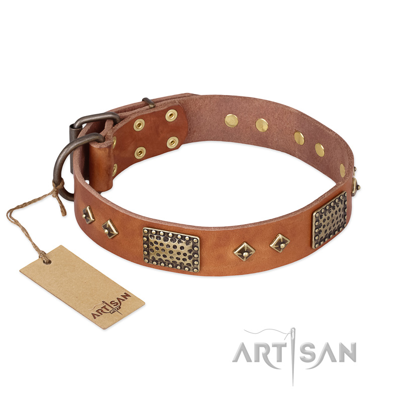 "Catchy Look" FDT Artisan Decorated Tan Leather Bulldog Collar