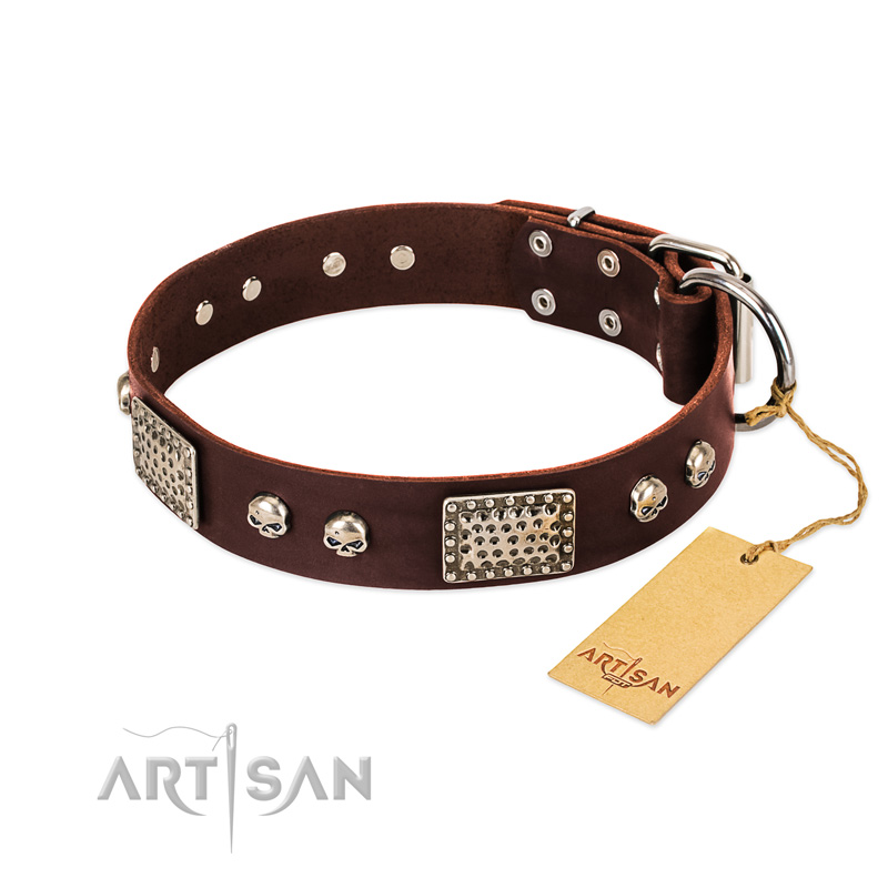 "Pirate Skull" FDT Artisan Brown Leather Bulldog Collar with Old Silver Look Plates and Skulls