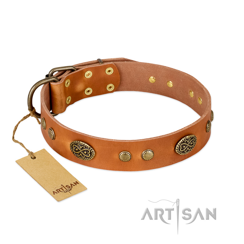 "Sun Beams" FDT Artisan Tan Leather Bulldog Collar with Decorations - Click Image to Close