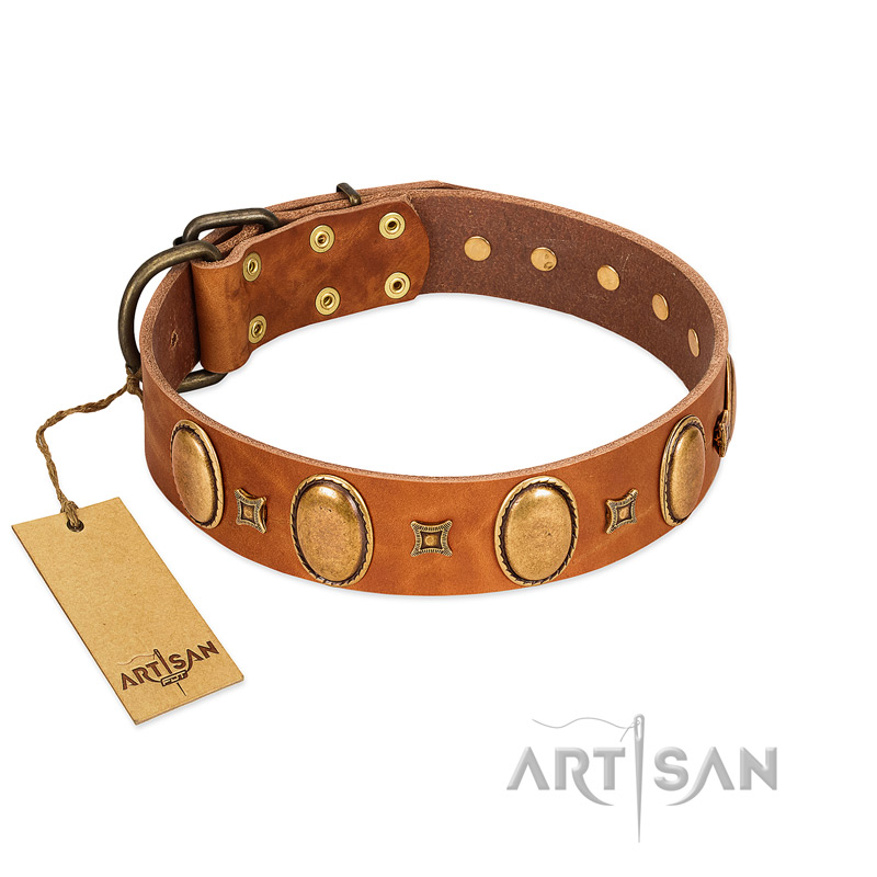 "Glossy Autumn" Designer Handmade FDT Artisan Tan Leather Bulldog Collar with Ovals and Studs