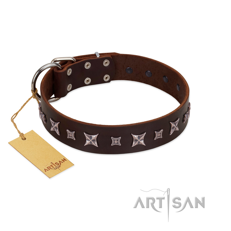 "Stellar Fairy " FDT Artisan Brown Leather Bulldog Collar with Chrome-plated Star-like Decorations